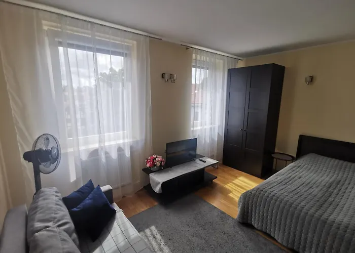 My Old Town Bridge Апартаменты Клайпеда